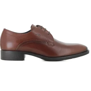 Blucher Camel