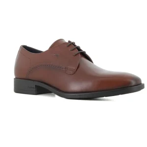 Blucher Camel