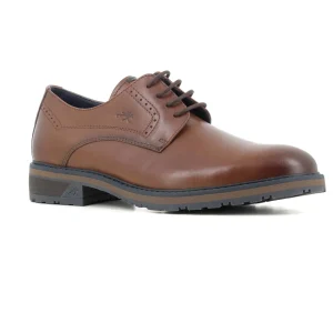 Blucher Camel