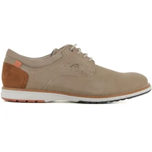 Blucher Marmota