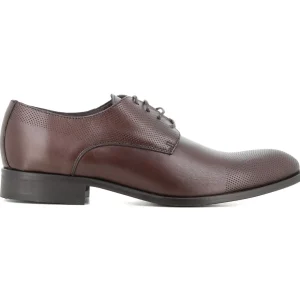Blucher Marron