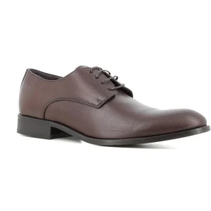 Blucher Marron