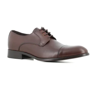 Blucher Marron