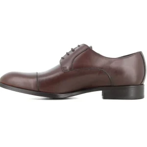 Blucher Marron