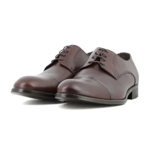 Blucher Marron