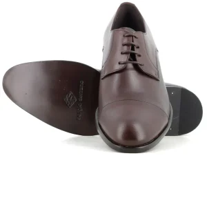 Blucher Marron