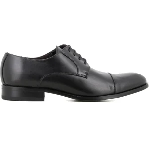 Blucher Negro