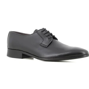 Blucher Negro