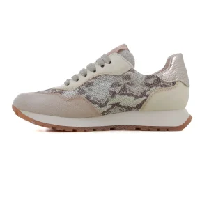Deportivo Taupe