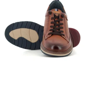 Elasticos Brandy