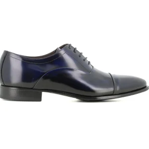 Oxford Marino