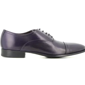 Oxford Marino