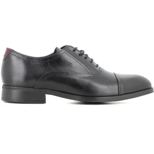 Oxford Negro