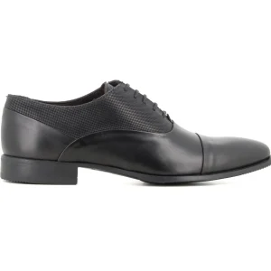 Oxford Negro
