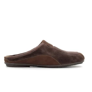 Zapatilla Marron