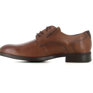 Blucher Camel