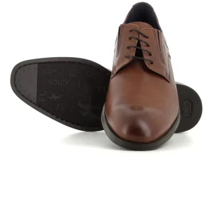 Blucher Camel