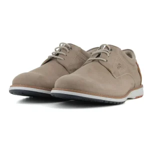 Blucher Marmota