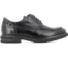 Blucher Negro