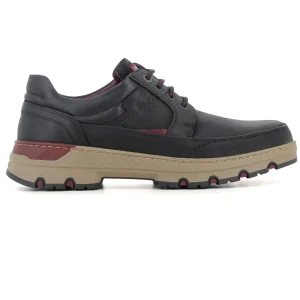 Blucher Negro