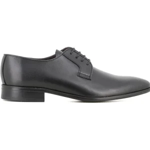 Blucher Negro