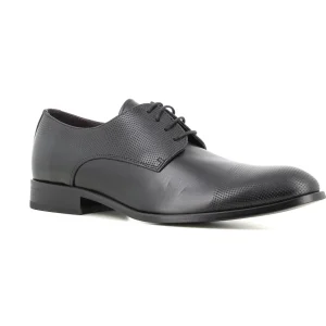 Blucher Negro