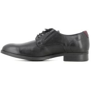 Blucher Negro