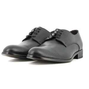 Blucher Negro