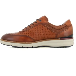 Deportivo Brandy
