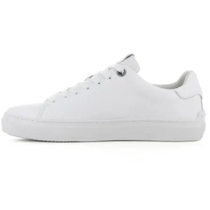Deportivo White