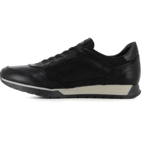 Elasticos Black