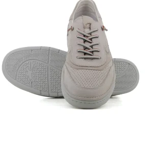 Elasticos Hielo