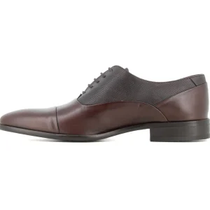 Oxford Marron