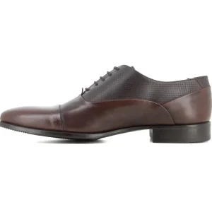 Oxford Marron