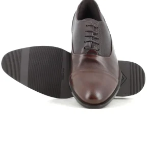 Oxford Marron