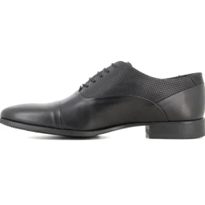 Oxford Negro